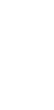 UNDP